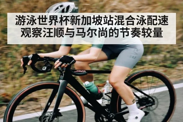 游泳世界杯新加坡站混合泳配速观察汪顺与马尔尚的节奏较量